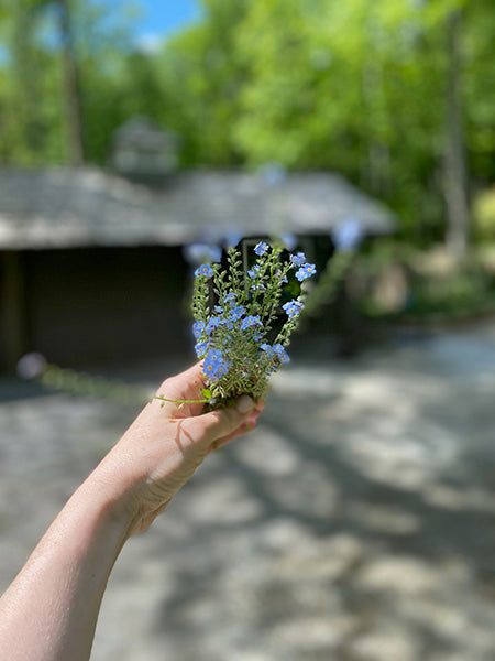 Consultation & Custom Blend