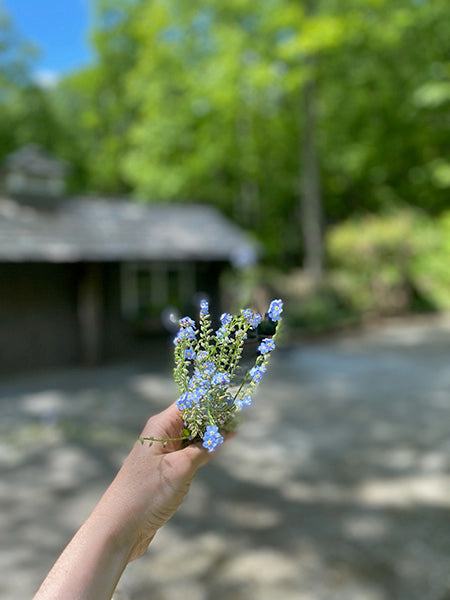 Consultation & Custom Blend