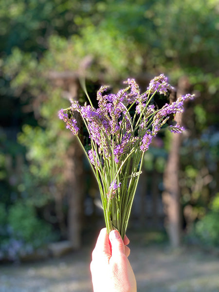 Consultation & Custom Blend