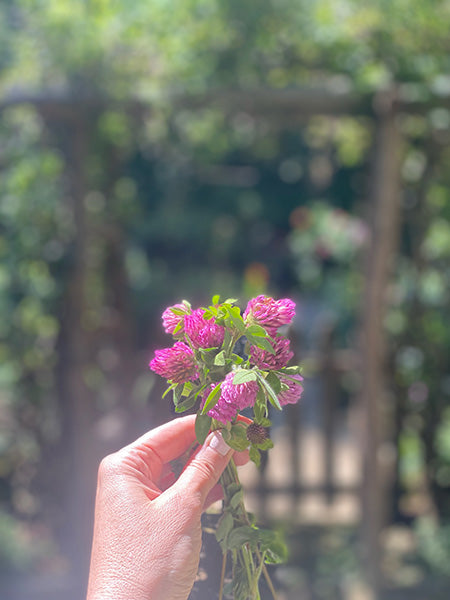 Consultation & Custom Blend