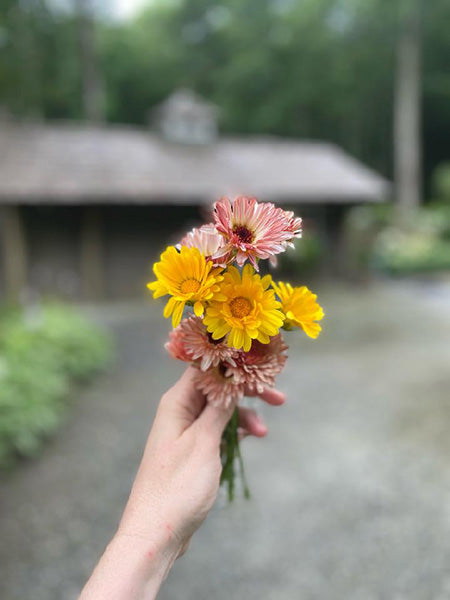 Consultation & Custom Blend