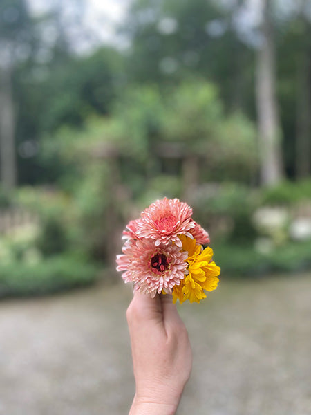 Consultation & Custom Blend