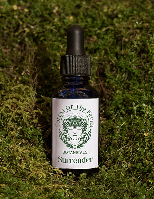 Surrender